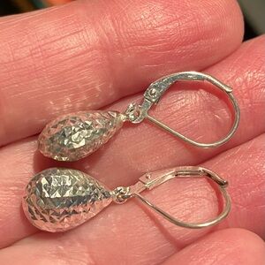 Sterling Silver Drop Earrings